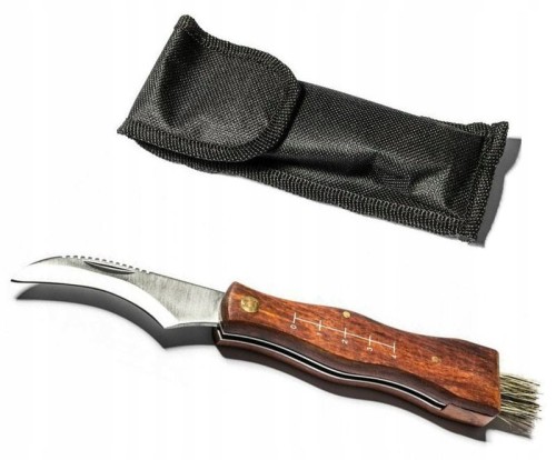 2a324f1ffdd969ee4f6ab7cd6bba62a1