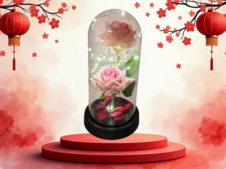 51b7b0b6bddfff9a266eac362766da65