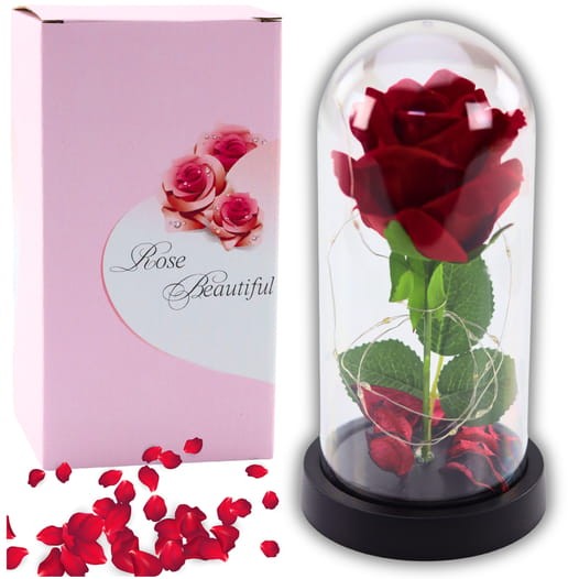 655ec6985e79fb23a2c39ffb332254bf