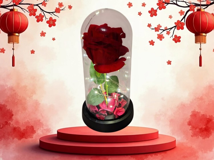 9d694c552f10d1edb7dad285b0e92407