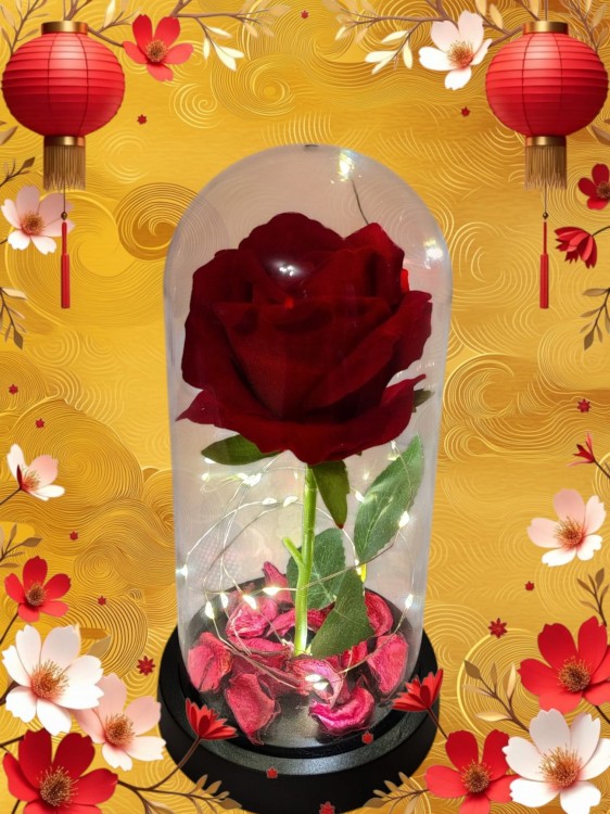 e2ddd97795e8a9a44ec95151aacf983c