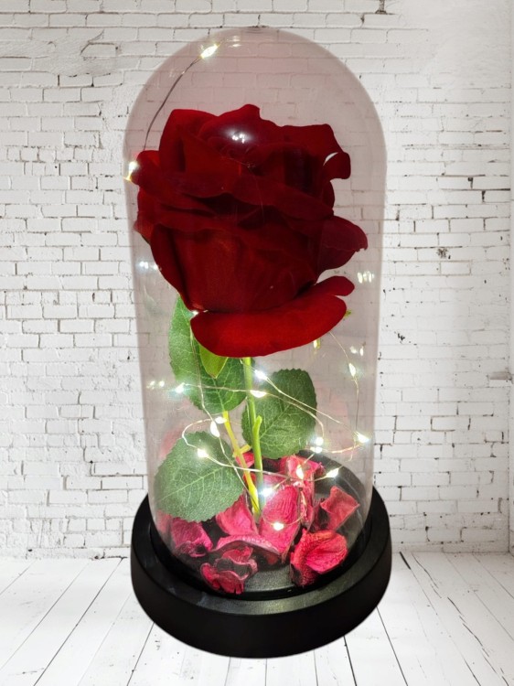 a671ba5d24fc1139c0e5deefe703ea35