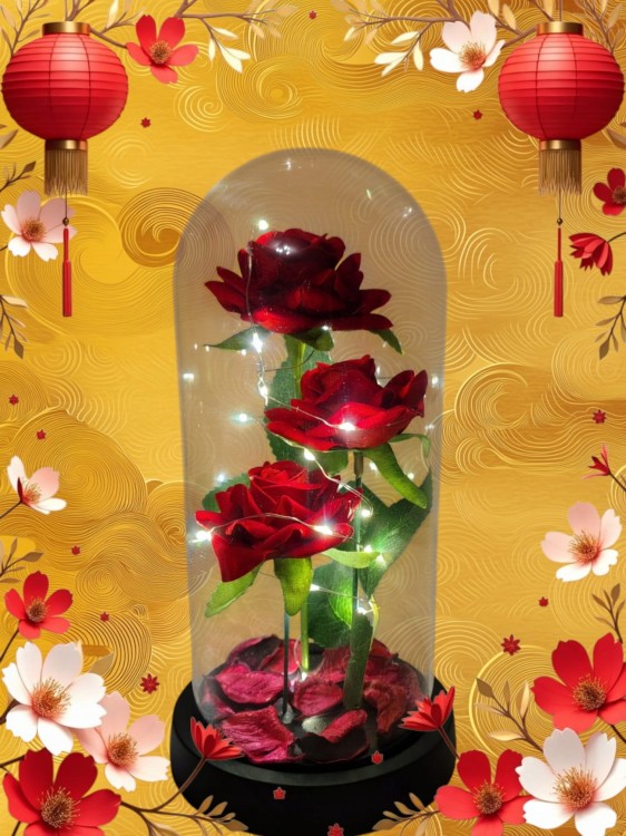 f66f64fd24f57ddc5c35ca797edb3533