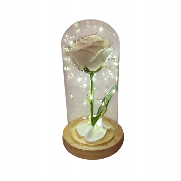 6a4a6358fde36c8b6f60165880ad1b4c