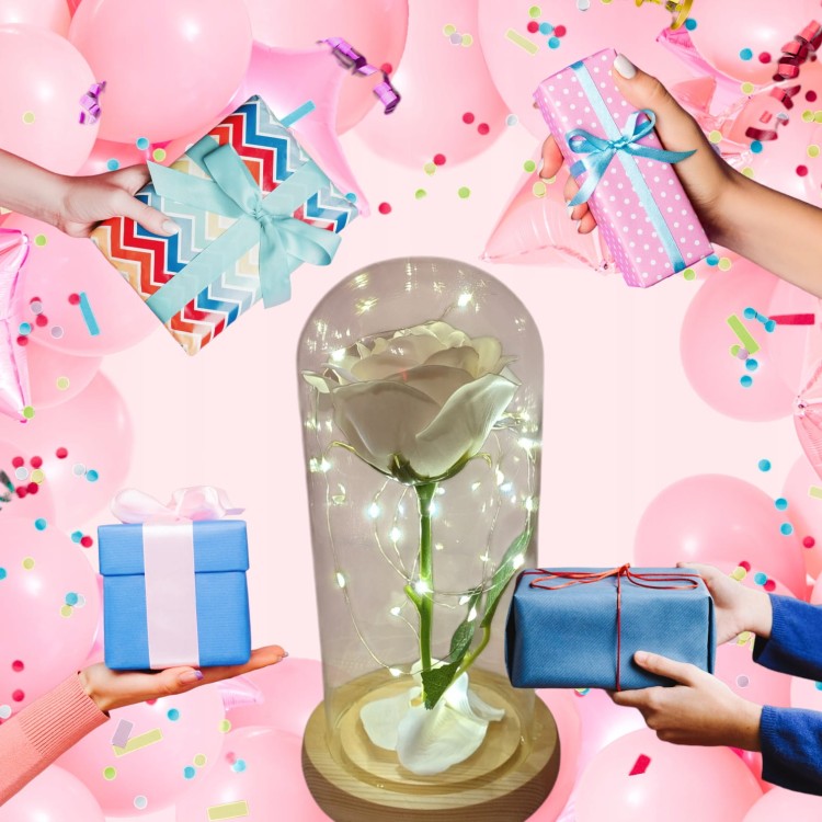 1ac4bbc7a91bd6c2eff6a81145b197a3