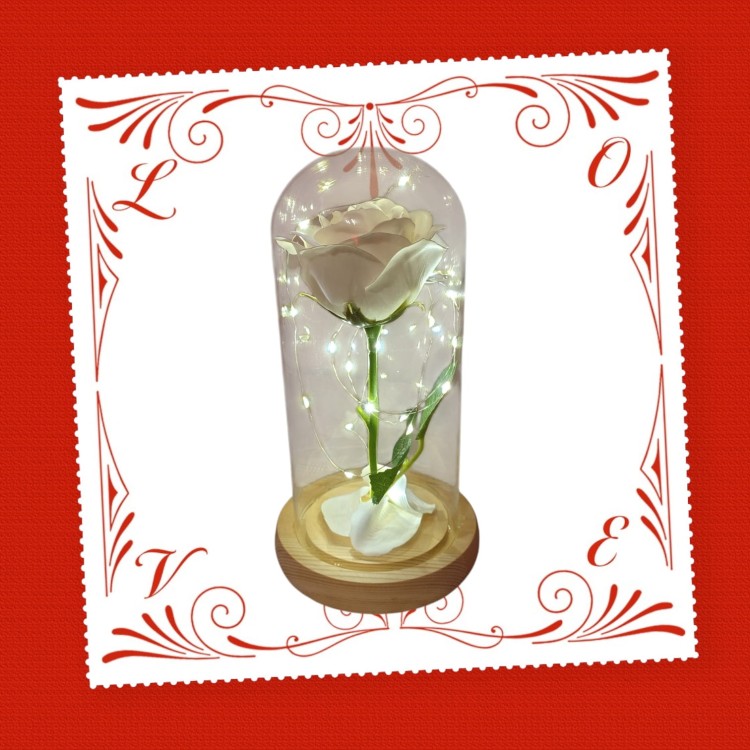 62c01717fe00004999fed094a9974048