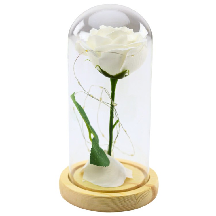 f2b90746d2c3ba1c87fc8179b51ecf17