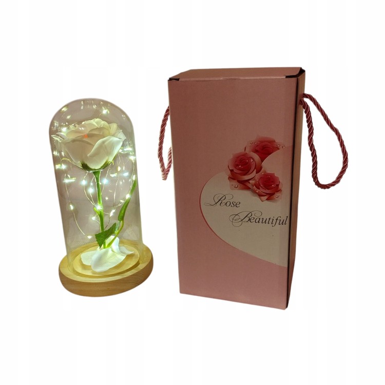 545310d6eaa88f0f50fedbdcf41be5de